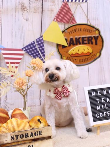 20240903天馬利ちゃん